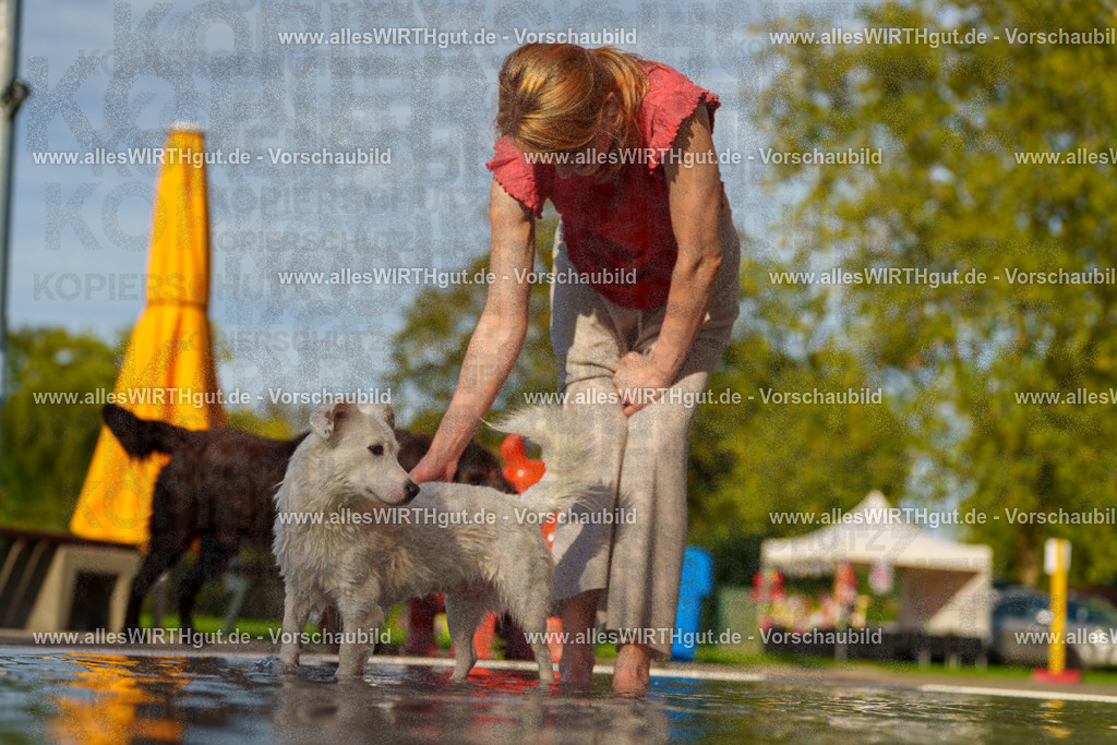 Hundeschwimmen_Grefrath_2026-allesWIRTHgut_Tierfotografie-15_44-7R509528 | Professionelle Tierfotografie in Mönchengladbach von Daniel Wirth (allesWIRTHgut). Liebevolle & natürliche Bilder von Hunden & Katzen für unvergessliche Erinnerungen.