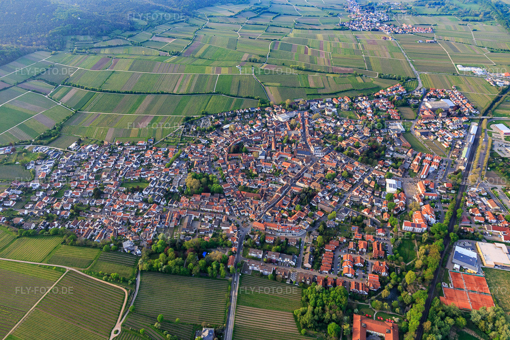 Luftbild: Ortsansicht im Frühjahr aus Süden in Deidesheim im Bundesland Rheinland-Pfalz in Deutschland. Foto: IMG_106729.jpg vom 21.04.2018 durch Werner Riehm/FLY-FOTO.de