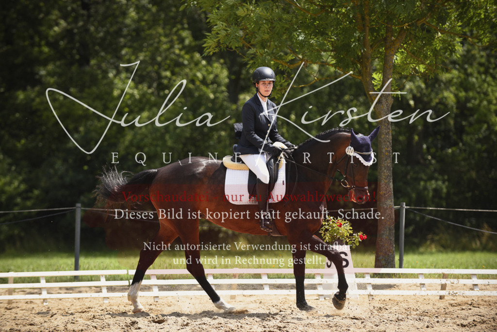 DSC_1511 | Pferde- und Turnierfotografie in Westsachsen. Pferdeportraits, Auftragszeichnungen und intuitive Kunst.