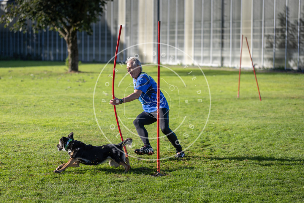 Pfotenfotografie.de_DV3A3344 | Hundefotografie, Tierfotograf, Pfotenfotografie, Fotoshooting Hund, Hunde Portrait, Hundesport, Hundeportraits, Heideshooting, Hunde, Sportfotograf, Hundefotograf, Turnierhundsport, THS, canicross - Realisiert mit Pictrs.com
