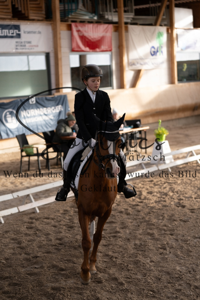 A7V09123 | Pferdefotograf