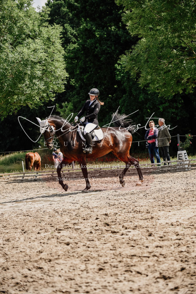 DSC_1069 | Pferde- und Turnierfotografie in Westsachsen. Pferdeportraits, Auftragszeichnungen und intuitive Kunst.