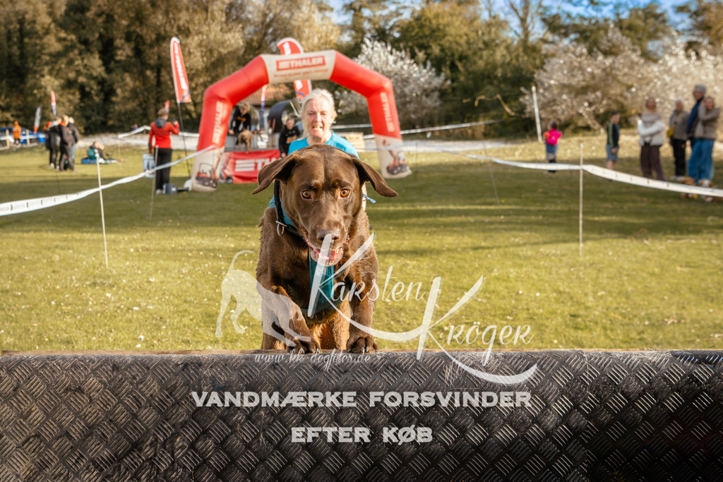 1559_ZZ97617 | kk-dogfotos