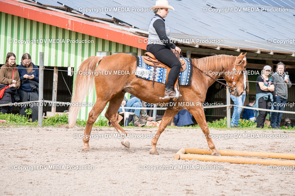 BAL02658 | dv-media-shop - Realisiert mit Pictrs.com