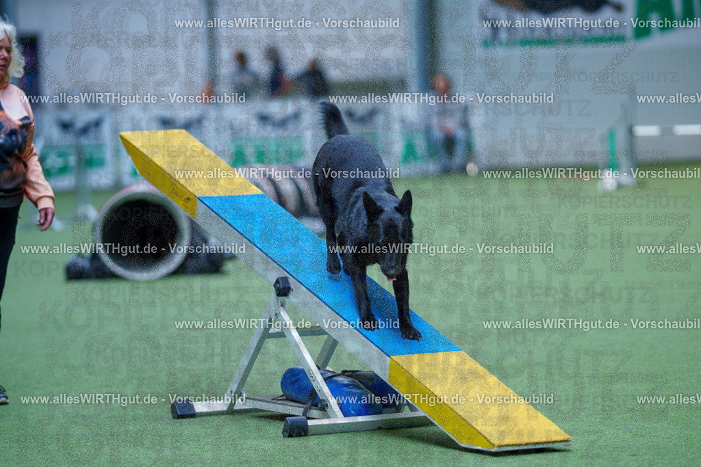 @allesWIRTHgut_Tierfotografie - www.allesWIRTHgut.de - 2604251346-7R503992 | Professionelle Tierfotografie in Mönchengladbach von Daniel Wirth (allesWIRTHgut). Liebevolle & natürliche Bilder von Hunden & Katzen für unvergessliche Erinnerungen.