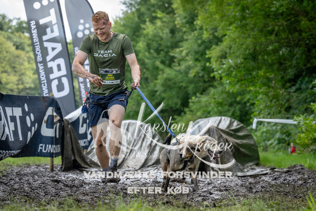 1136_ZZ93694 | kk-dogfotos