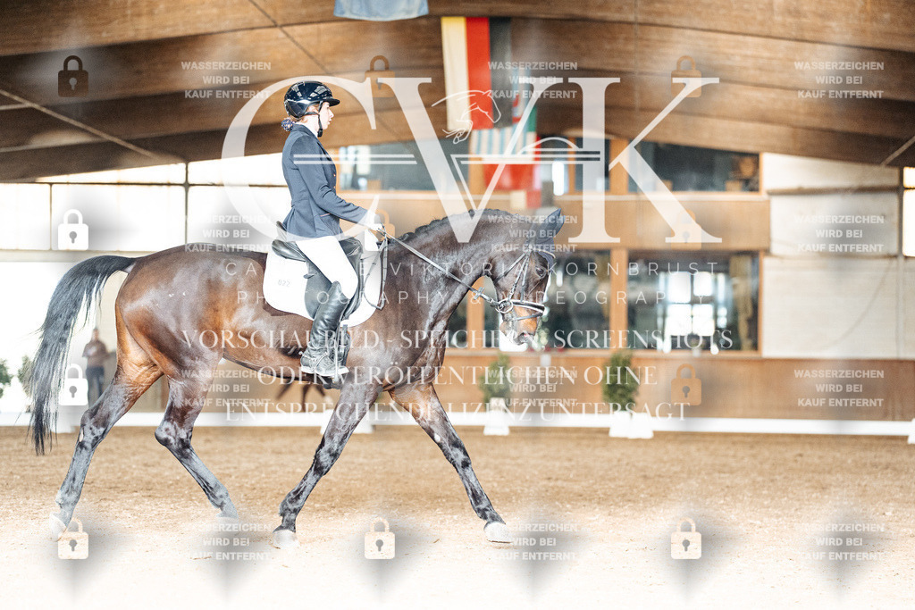CK902332 | Turnierfotografie Pferdefotografie Trier Rheinland-Pfalz Pferdesport Reitsport Tierfotografie Sportfotografie Pferdevideo Pferdevideografie Equestrianvideography equestrianphotography  - Realisiert mit Pictrs.com