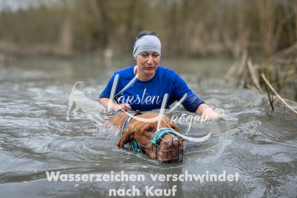 1003_ZZ95487 | kk-dogfotos