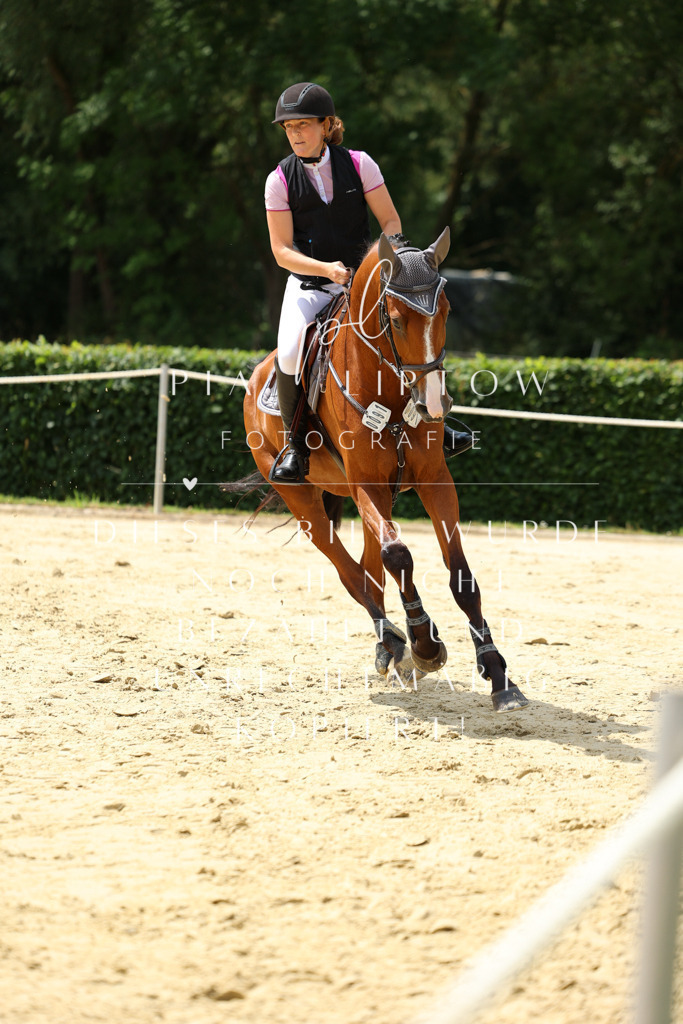 IMGM5081 | pl-fotografie