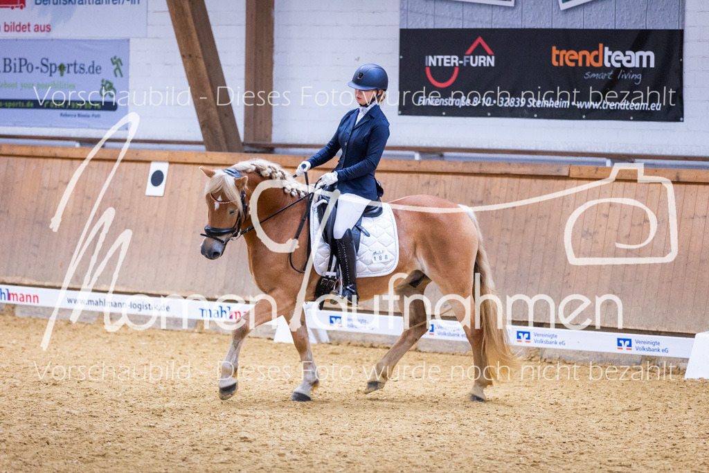 Sth-A-Dre-2St-034 | MomenTaufnahmen Pferdesportfotos