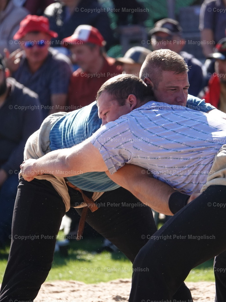 DSC05572 | Schwingen - Realisiert mit Pictrs.com