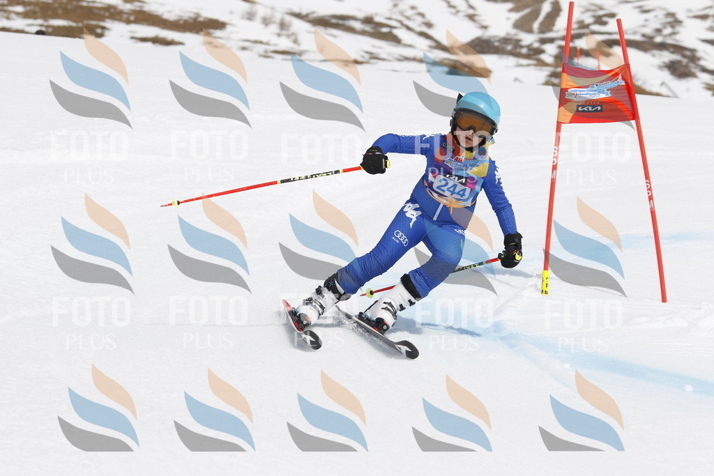 _U3G2776 | holidayphoto