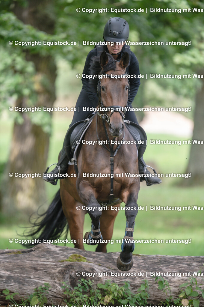 20250726_Vielseitigkeitslehrgang-Marbach_0410 | Foto: Thomas Hartig