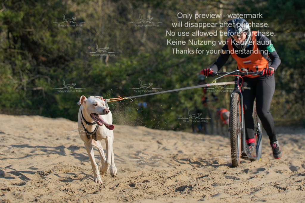 So_Scooter-271 | stephaniefillaphotographie - Realisiert mit Pictrs.com