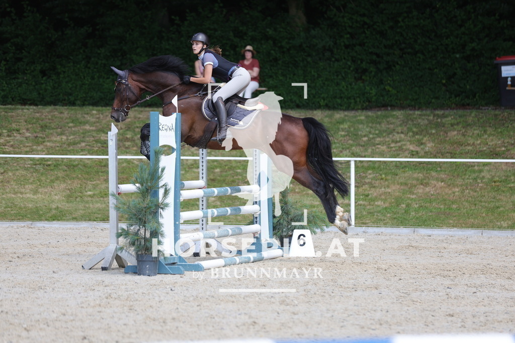 0P6A8631 | Willkommen bei Brunnmayr - Design & Fotografie – Ihrem Spezialisten für Reitturniere und Pferdeveranstaltungen in Oberösterreich, Salzburg und Bayern! Seit über 17 Jahren sind wir leidenschaftlich dabei.