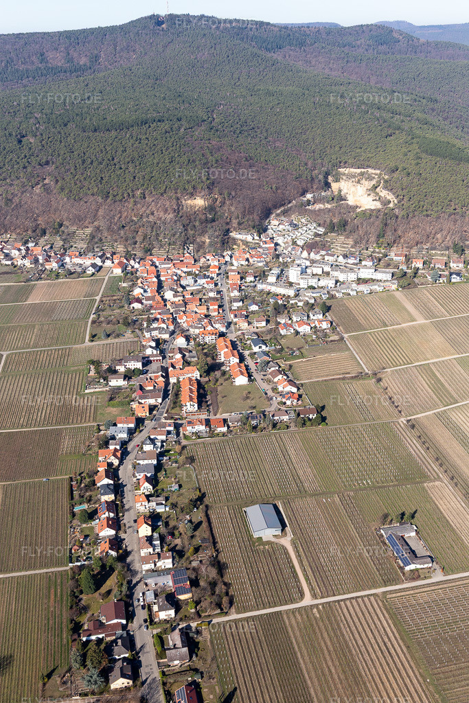 Luftbild: Weinberge umsäumen das Siedlungsgebiet des Dorfes an der Weinstraße im Ortsteil Haardt in Neustadt im Bundesland Rheinland-Pfalz in Deutschland. Foto: IMG_112773.jpg vom 27.02.2019 durch Werner Riehm/FLY-FOTO.de