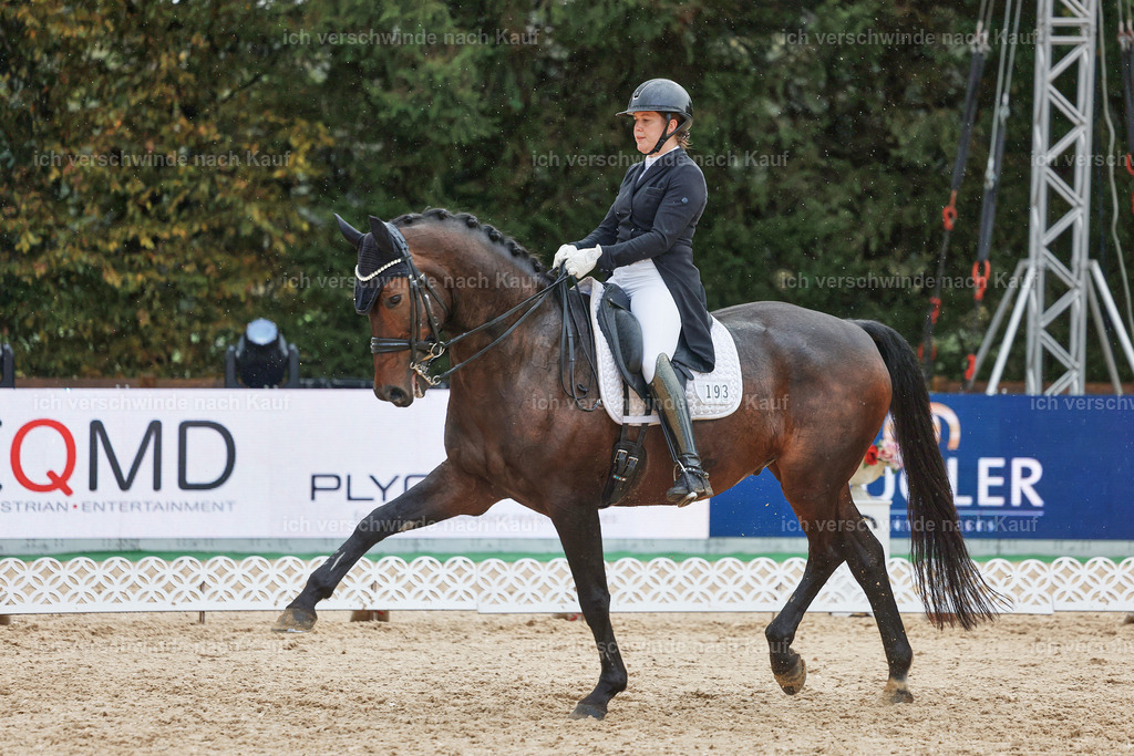 8_2-193-DRESSUR S_  -StoibPH-4508 | working equitationturnier fotograf videograf stoibphotography marixx film working equitation deutschland reitsport turnierfotografie eventfotografie equestrian events