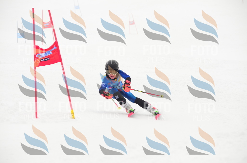 C1749 | holidayphoto