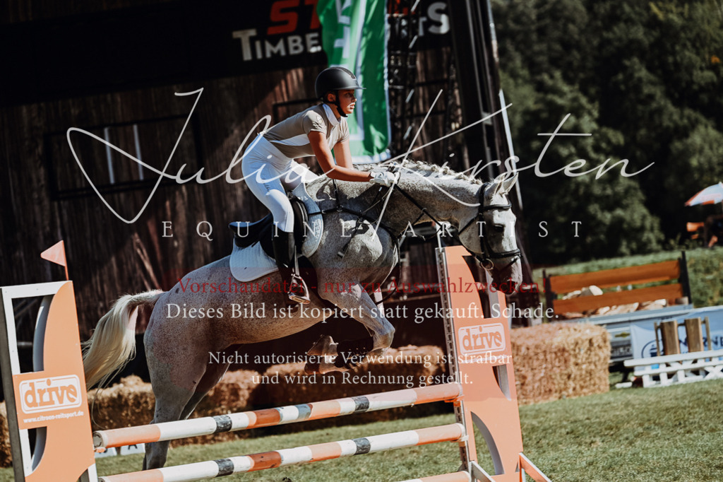 DSC_6878 | Pferde- und Turnierfotografie in Westsachsen. Pferdeportraits, Auftragszeichnungen und intuitive Kunst.