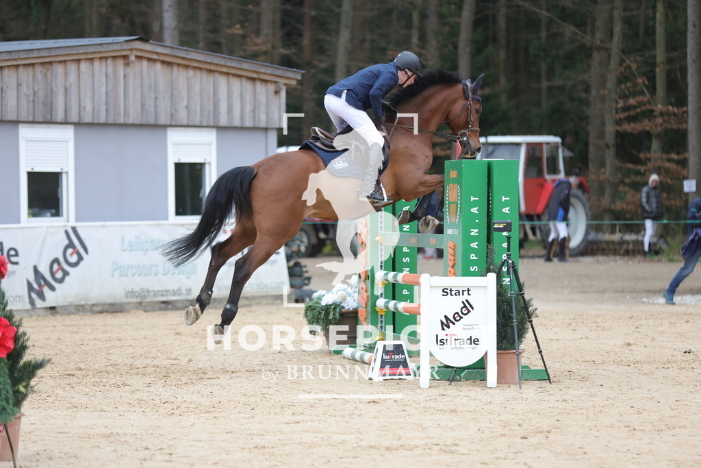 0P6A3371 | Willkommen bei Brunnmayr - Design & Fotografie – Ihrem Spezialisten für Reitturniere und Pferdeveranstaltungen in Oberösterreich, Salzburg und Bayern! Seit über 17 Jahren sind wir leidenschaftlich dabei.