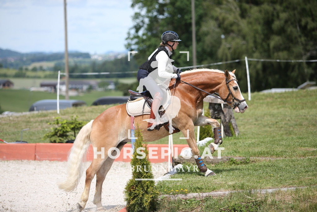 PP014714 | Willkommen bei Brunnmayr - Design & Fotografie – Ihrem Spezialisten für Reitturniere und Pferdeveranstaltungen in Oberösterreich, Salzburg und Bayern! Seit über 17 Jahren sind wir leidenschaftlich dabei.
