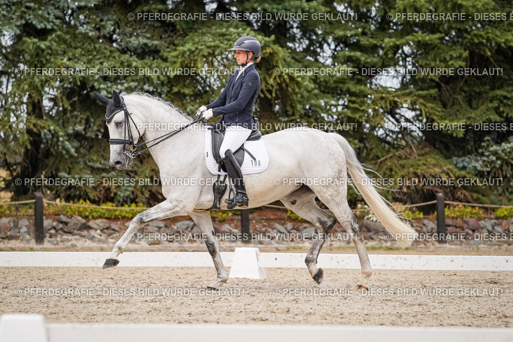 DSC07800 | Pferdegrafie