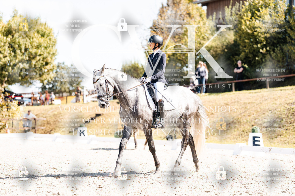 CK903858 | Turnierfotografie Pferdefotografie Trier Rheinland-Pfalz Pferdesport Reitsport Tierfotografie Sportfotografie Pferdevideo Pferdevideografie Equestrianvideography equestrianphotography  - Realisiert mit Pictrs.com