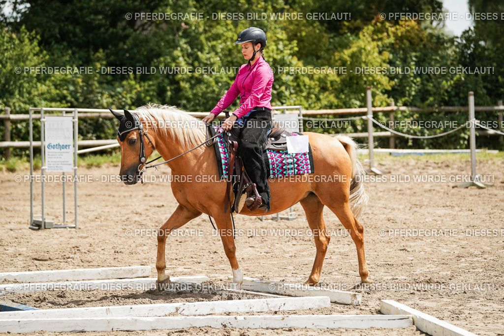 DSC08016 | Pferdegrafie