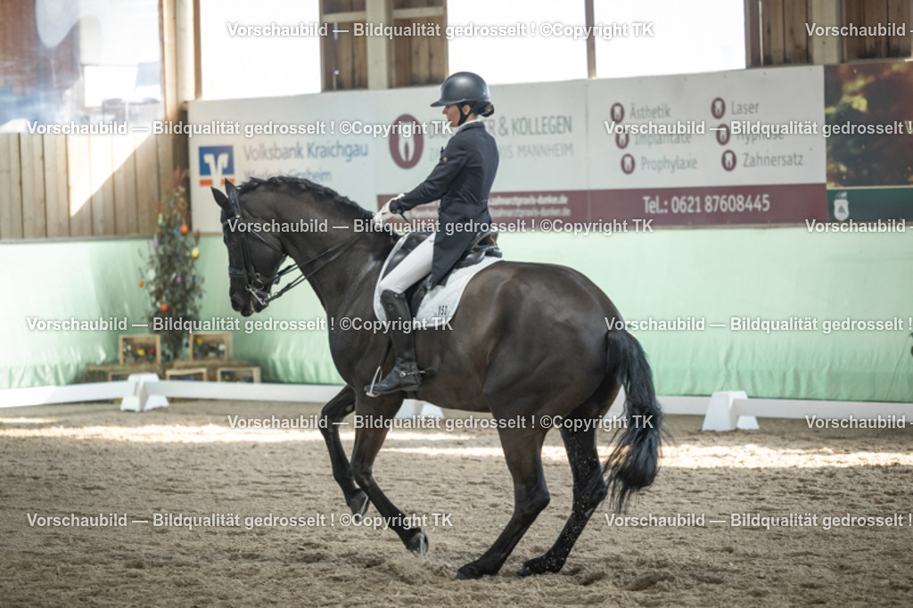 _D5A0352 | Emotionale Pferde- & People-Fotografie rund um Heidelberg, Leimen & Umgebung. Natürliche Fotos von Pferd, Mensch & Familie. Jetzt Termin sichern!