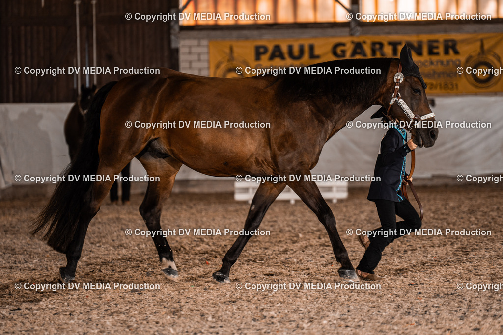 ZH100036 | dv-media-shop - Realisiert mit Pictrs.com