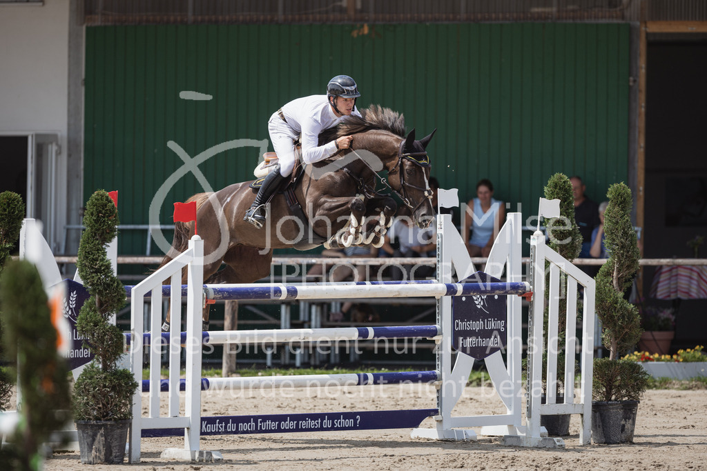 230624_PfSpTa_YoungsterM2-832 | Deine schönsten Turniermomente als professionelle Fotos! Entdecke hochwertige Pferdesport-Fotografie im Online-Shop. Jetzt Fotos finden & bestellen!