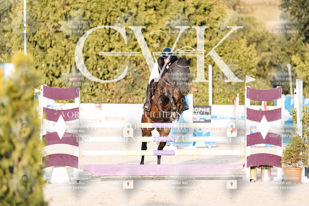 CK900938 | Turnierfotografie Pferdefotografie Trier Rheinland-Pfalz Pferdesport Reitsport Tierfotografie Sportfotografie Pferdevideo Pferdevideografie Equestrianvideography equestrianphotography  - Realisiert mit Pictrs.com