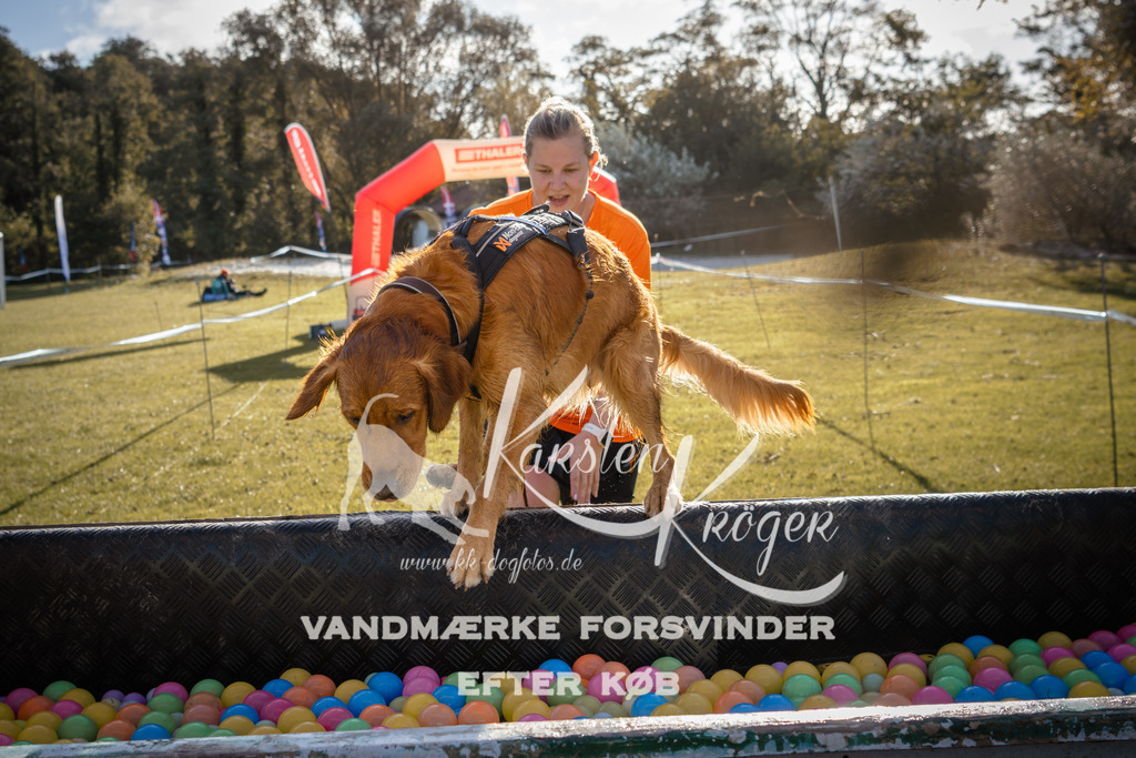 1015_ZZ90038 | kk-dogfotos