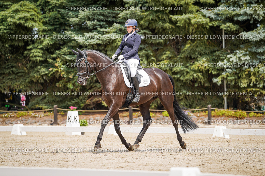 DSC03564 | Pferdegrafie