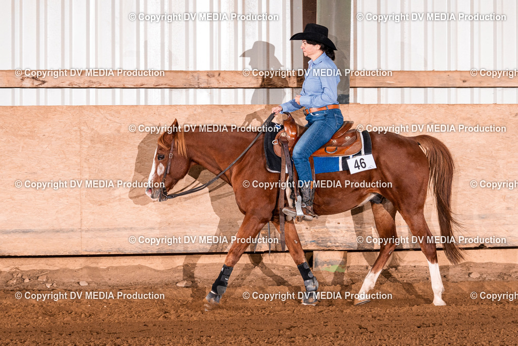 Balingen Tag 1-1214 | dv-media-shop - Realisiert mit Pictrs.com