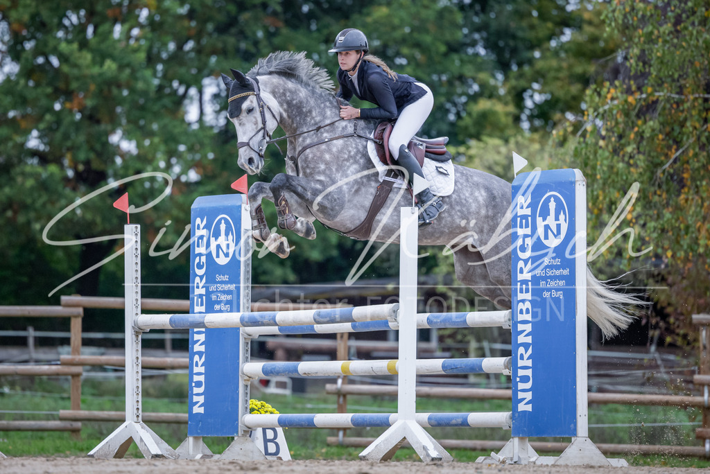 20251012-_3LI4913 | Tierfotografie Pferde, Hunde, Katzen, Haustiere.
Turnierfotografie Reitturniere, Reiten, Springreiten, Dressur in Hanau, dem Main-Kinzig-Kreis und dem Rhein-Main- Gebiet um Frankfurt