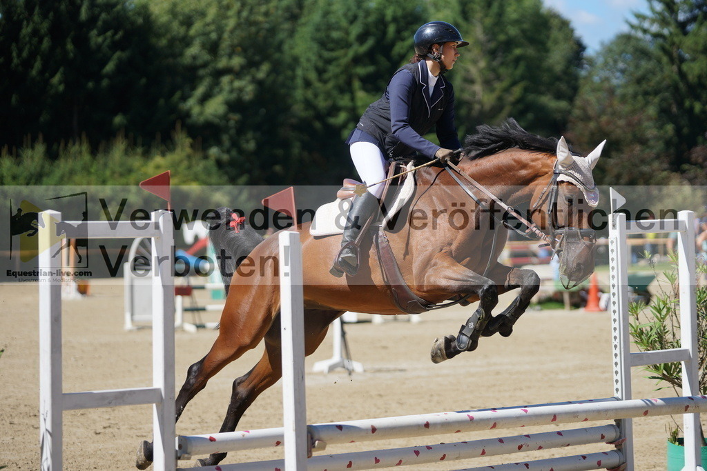 DSC07324 | equestrian-live-com