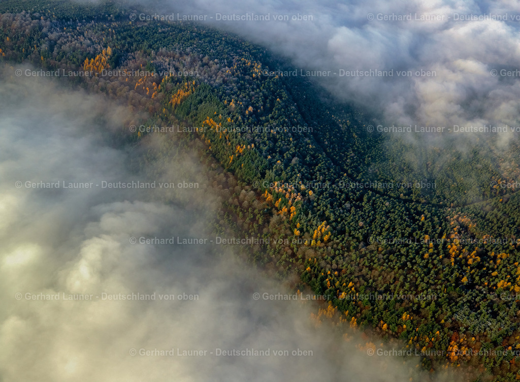2785920 | herbstliche Bäume  auf einem Höhenzug des Spessarts