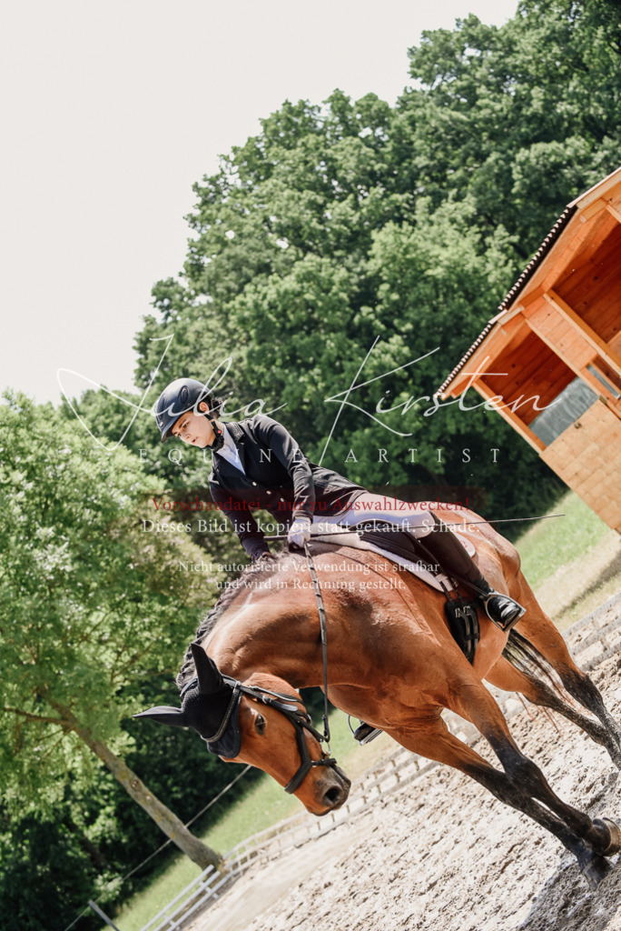 DSC_0990 | Pferde- und Turnierfotografie in Westsachsen. Pferdeportraits, Auftragszeichnungen und intuitive Kunst.