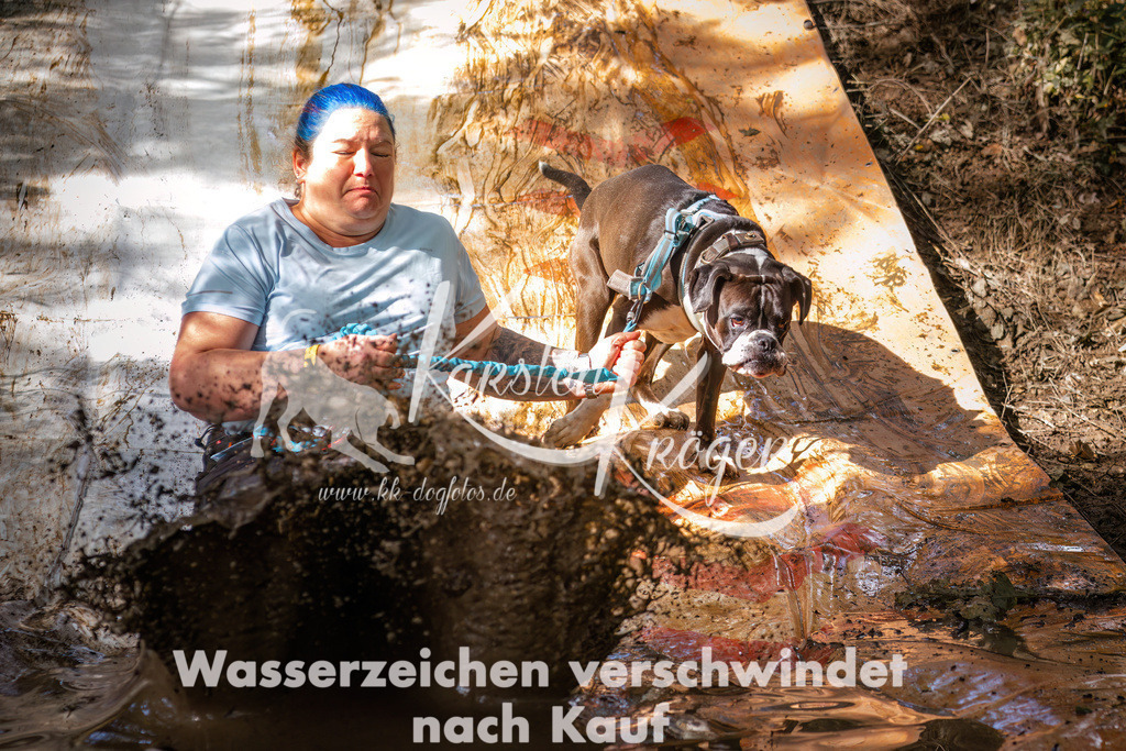 1308_ZZ90566 | kk-dogfotos