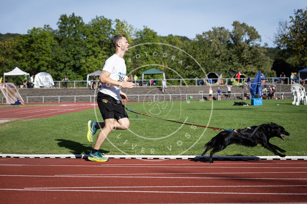 Pfotenfotografie_DV3A9734 | Hundefotografie, Tierfotograf, Pfotenfotografie, Fotoshooting Hund, Hunde Portrait, Hundesport, Hundeportraits, Heideshooting, Hunde, Sportfotograf, Hundefotograf, Turnierhundsport, THS,  - Realisiert mit Pictrs.com