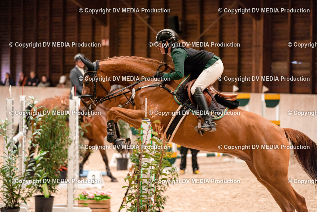 Springen Tag 1-333 | dv-media-shop - Realisiert mit Pictrs.com