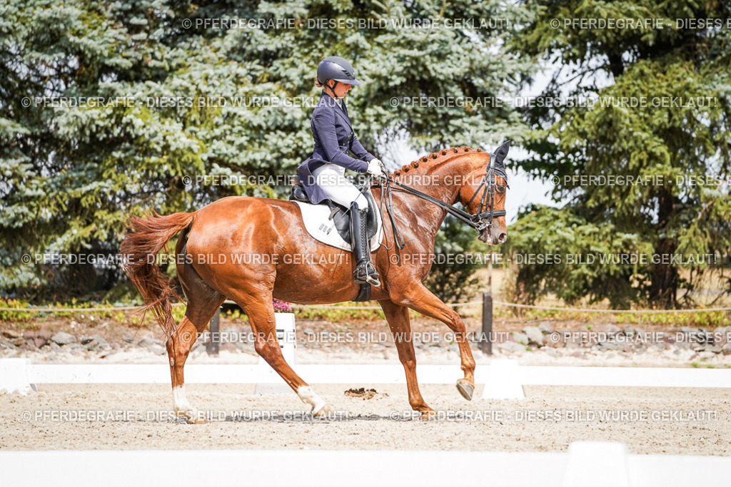 DSC06373 | Pferdegrafie