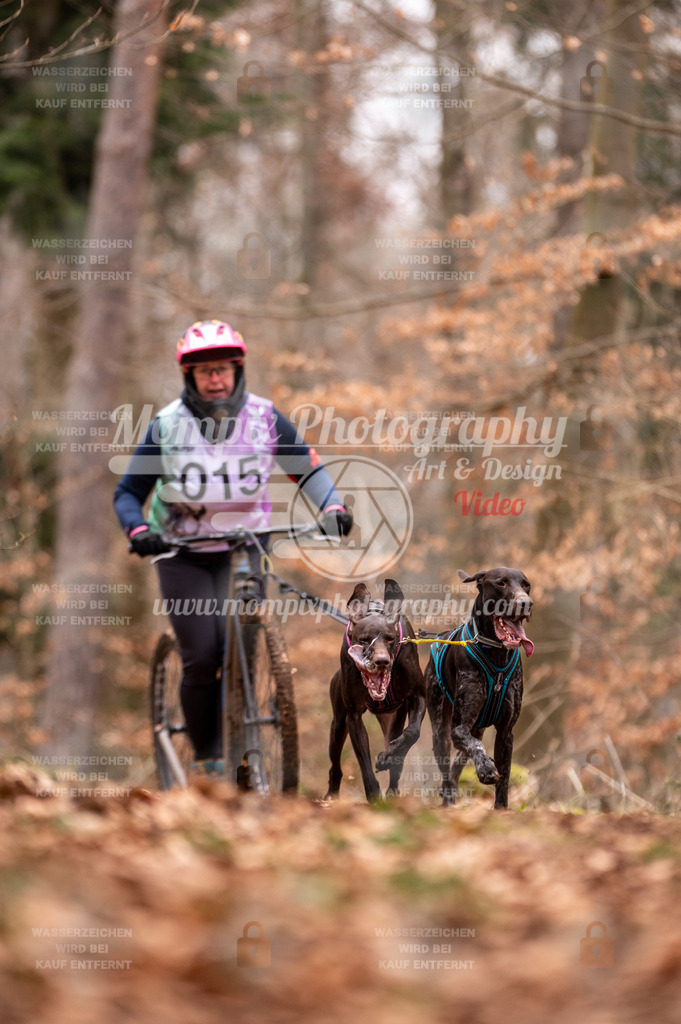 AKM_ST_2023_SAM_DS2-10 | PayLife