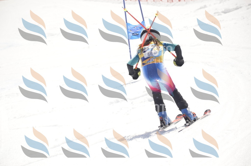 _ELE9558 | holidayphoto