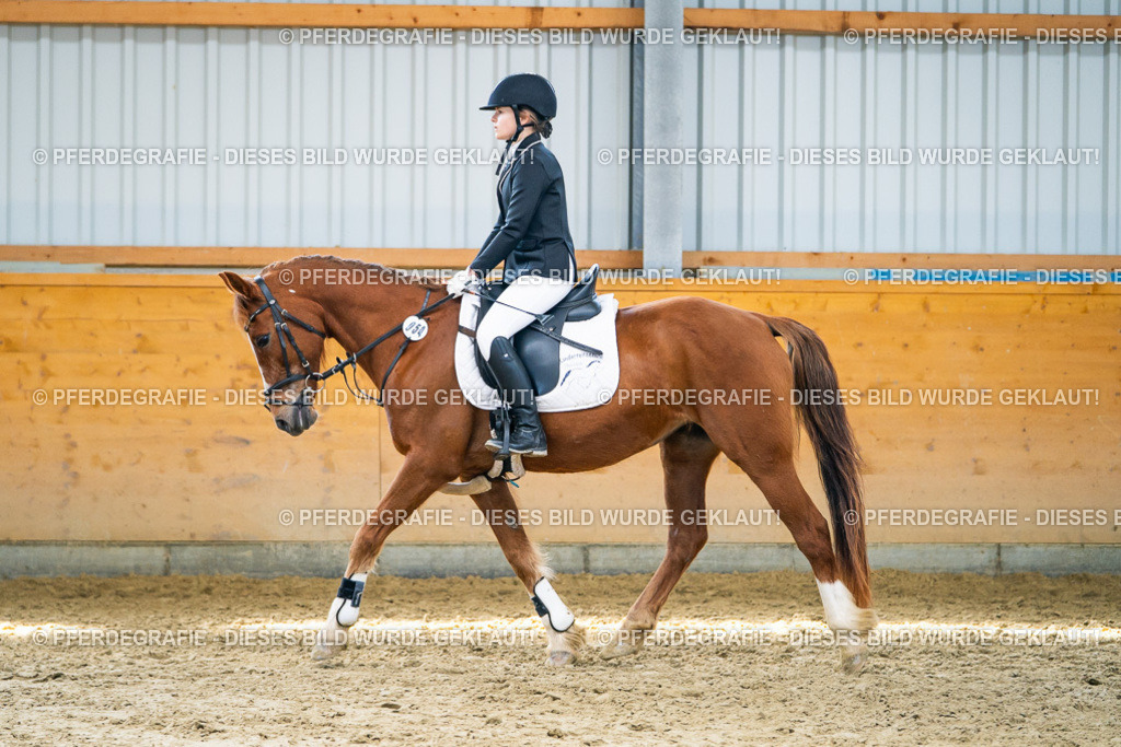 DSC02170 | Pferdegrafie