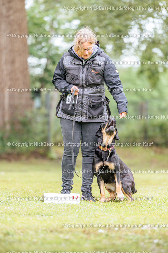 RO-Blumenthal-2026-Nickbest-Hundefotografie-4448 | Dein Hund! Dein Moment! Deine Erinnerungen! Hundefotografie in Bremen Blumenthal. Ich fange die besonderen Momente deines Vierbeiners ein – ob Indoor mit Blitzanlage oder in der freien Natur. Sicher dir dein Moment und dein Termin für eure Erinnerungen.