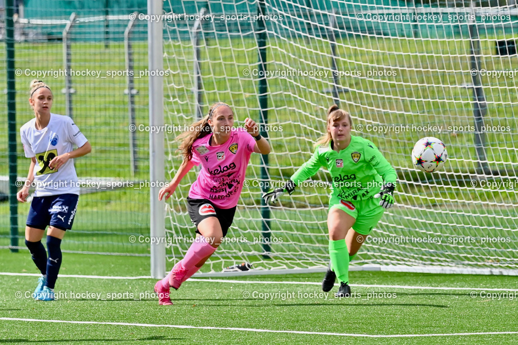 Liwodruck Carinthians Hornets vs. SV Weikersdorf 11.9.2022 | #17 Christine Binder, #14 Nicole Dominique Gatternig, #1 Anja Meier