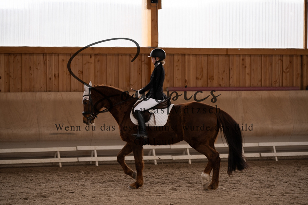 A7V09619 | Pferdefotograf