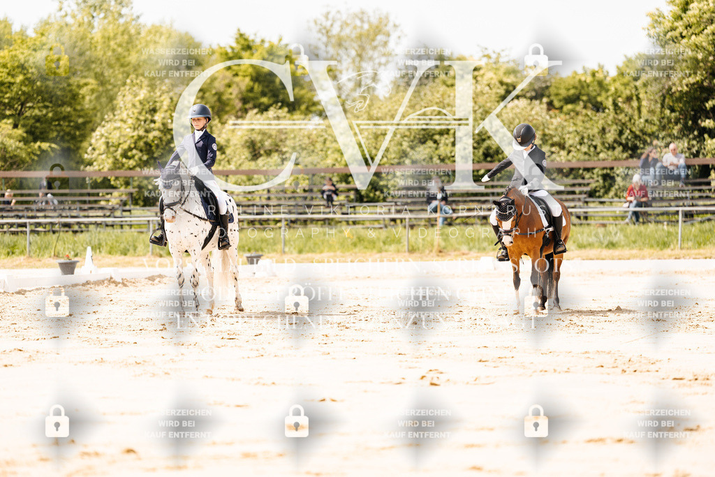 CK901765 | Turnierfotografie Pferdefotografie Trier Rheinland-Pfalz Pferdesport Reitsport Tierfotografie Sportfotografie Pferdevideo Pferdevideografie Equestrianvideography equestrianphotography  - Realisiert mit Pictrs.com